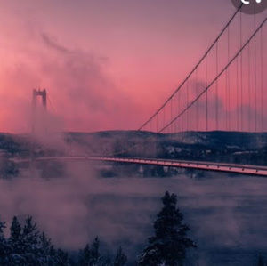 Meet your Posher, Gianna